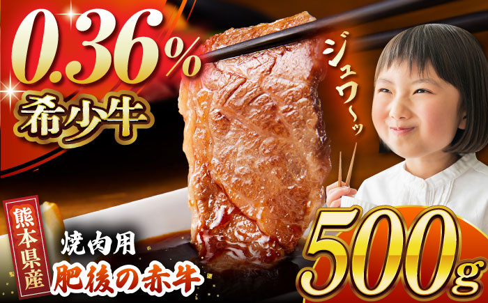 
【数量限定】肥後の赤牛 焼肉 用約500g【山鹿食品企画】 焼き肉用 焼肉 焼き肉 熊本県産 くまもと 熊本 熊本県 九州産 国産 牛肉 牛 数量限定 [ZBO003]
