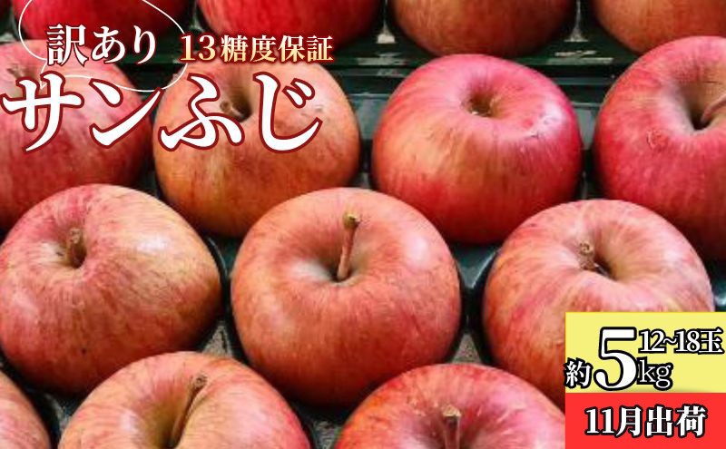 
                  12月 訳ありサンふじ約5kg（12～18玉）糖度13度保証 
                