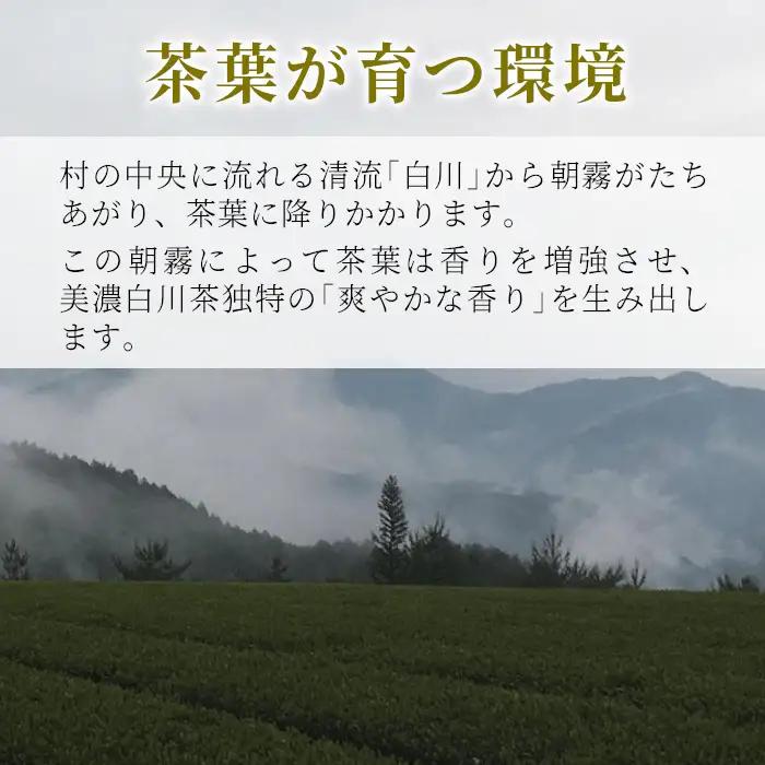 香りと味の調和 特選煎茶「清流-せいりゅう-」お試し1袋 70g 茶蔵園 緑茶 日本茶 煎茶 茶葉 4000円