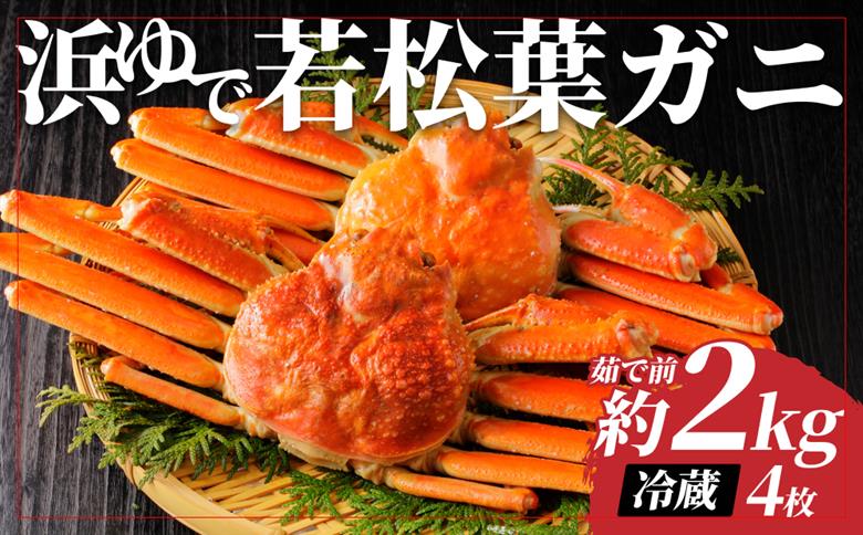 【先行予約】鳥取県岩美町特産 若松葉ガニ姿茹で 4枚セット ※お届けは2027年2月上旬～【22044】