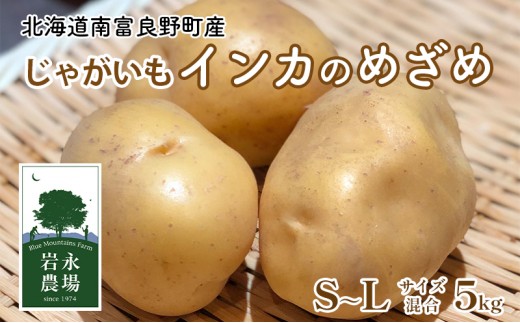 
                  【2025秋～発送】 北海道 南富良野町 じゃがいも「インカのめざめ」 5kg(S～Lサイズ混合) じゃがいも ジャガイモ いんか インカ 野菜 やさい 北海道野菜 北海道産じゃがいも 
                