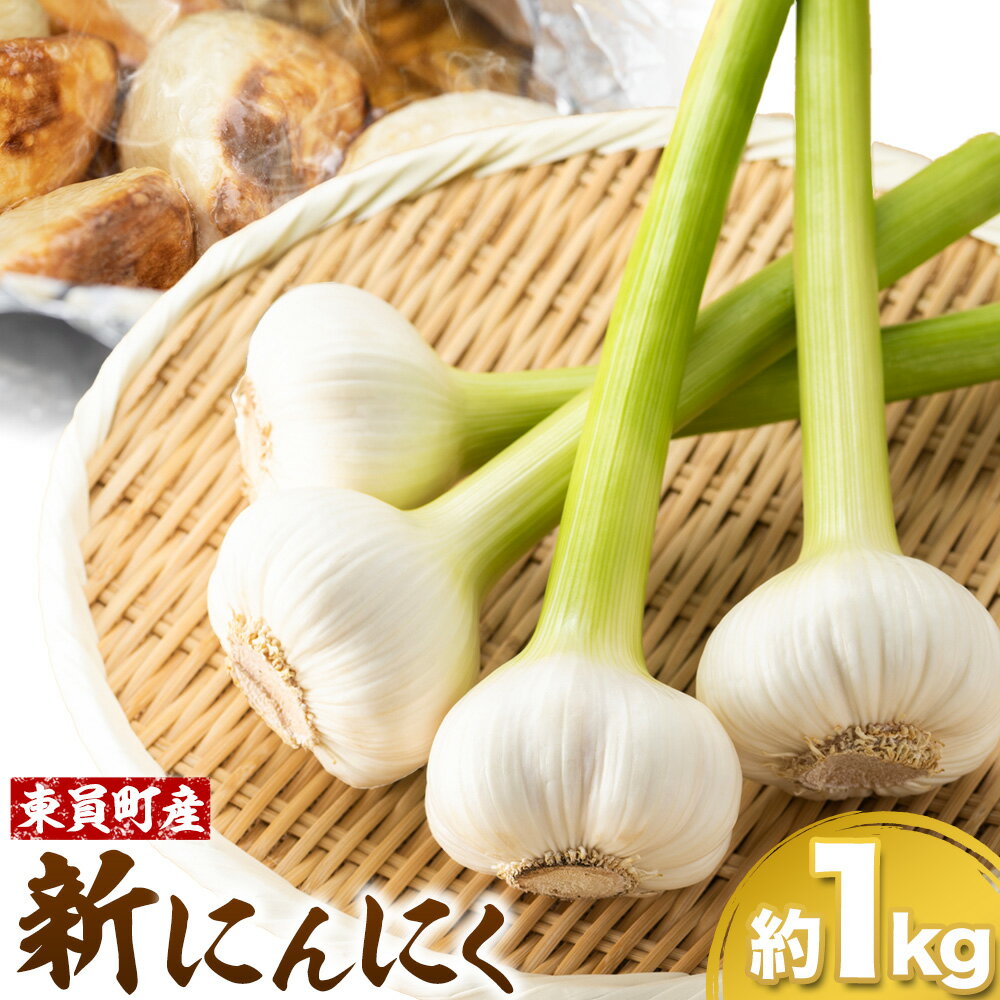 【ふるさと納税】旬の香り！ みずみずしい新にんにく 約1kg 東員町産 《2026年6月上旬‐6月下旬頃に出荷予定(土日祝除く)》三重県 東員町 にんにく ニンニク 大蒜 薬味 送料無料 生にんにく 香味野菜 薬味 野菜 国産
