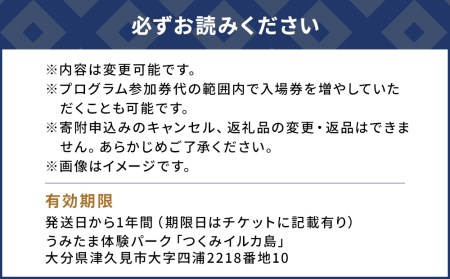 イルカとふれあうFor family（イルカ島満喫チケット）水族館 体験チケット レジャーチケット アクティビティ 動物ふれあい 大分県産 九州産 津久見市 国産【tsu001201】