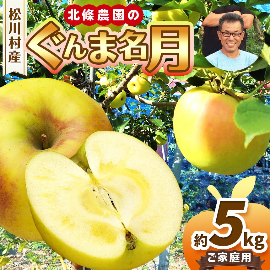 【ふるさと納税】家庭用 ぐんま名月 約5kg 【2026年先行予約】 | 北條農園 果物類 林檎 りんご リンゴ ぐんま名月 家庭用 甘い 長野県 松川村 まつかわ 長野 信州