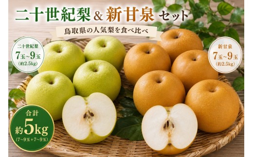
                  【食べ比べセット】鳥取県産 二十世紀梨 新甘泉 約5キロ【鳥取県 境港市】
                