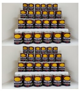 北海道産自然甘ホールコーン 48本（U13）