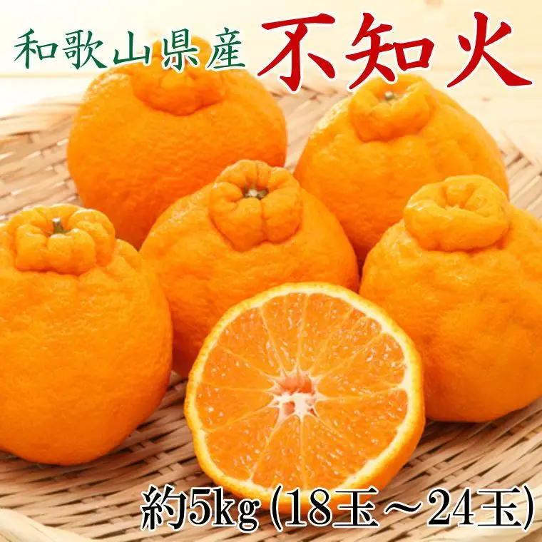 和歌山県産不知火約5kg（18玉～24玉おまかせ）L～3Lサイズ★2027年2月下旬頃より順次発送［TM159］