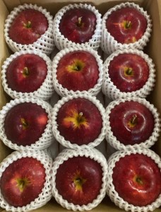 【スターファーム】こだわり栽培の 紅ロマン 厳選品 3kg 岩手県奥州市産りんご 産地直送 離島配送不可 [AY001]