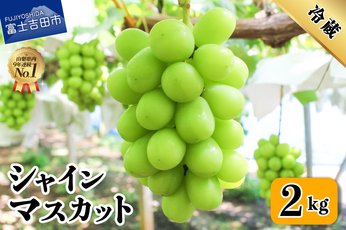 【フルーツ王国】 山梨県産 シャインマスカット 約2kg (2～3房)
