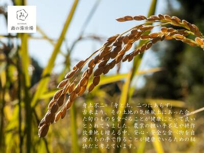 令和7年産 京都美山産 にじのきらめき 5kg　精米 コメ こめ お米 単一原料米 ごはん ご飯 京都