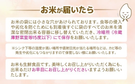3ケ月定期便 令和7年産 新米こしひかり 『この華米』10kg×3 合計30kg＜9-12＞精米 白米 コシヒカリ 