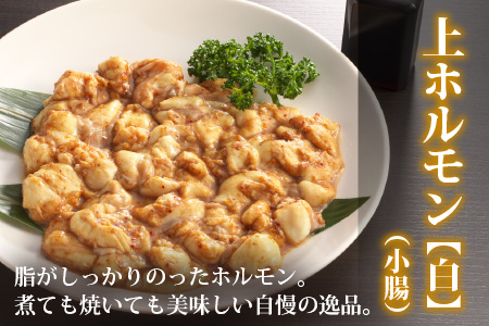 ホルモンの老舗 六間星山の牛上ホルモン（白）500g×2袋 計1kg [A-026002]