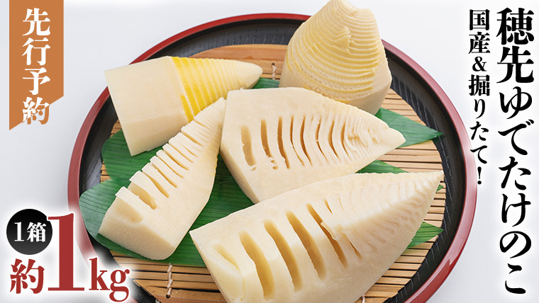 
            《 先行予約 》 掘りたて 穂先 ゆでたけのこ 約1kg 【 2026年 4月中旬 以降発送 】 野菜 春 旬 期間限定 数量限定 国産 産地直送 箱 真空パック 個包装 茹で 筍 タケノコ 竹の子
          