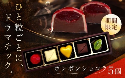 【ホワイトデー着日指定】ボンボンショコラ 5個入り / チョコ チョコレート ちょこれーと お土産 お菓子 バレンタイン / 南島原市 / 本田屋かすてら本舗 [SAW031]