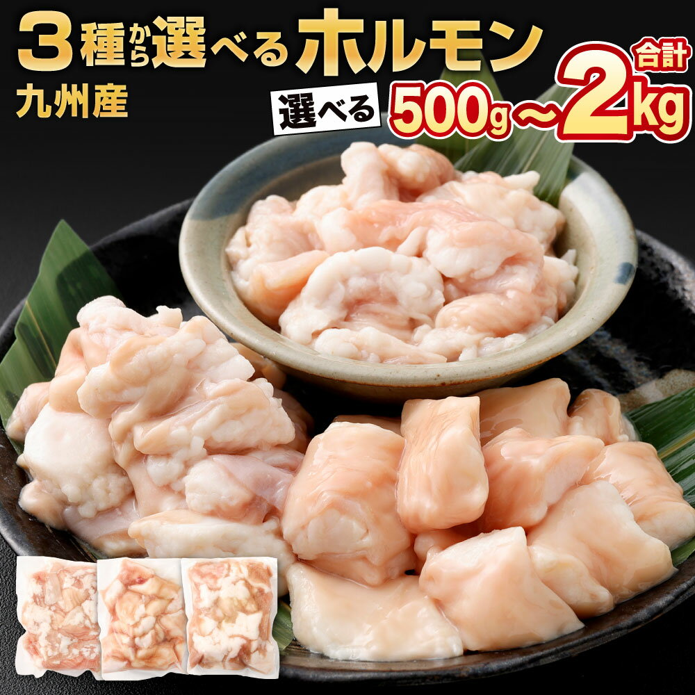 【ふるさと納税】九州産 黒毛和牛 ホルモン 3種から選べる 1パック約250g入り 選べる 2パック / 4パック / 6パック / 8パック 丸腸 / 小腸 / シマ腸 牛肉 ホルモン 牛ホルモン シマチョウ マルチョウ もつ鍋 小分け お肉 冷凍 国産 福岡県北九州市