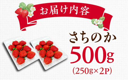 【2025年発送分 先行予約】【ビタミンC豊富な濃厚いちご】さちのか 500g（250g×2パック） / 苺 イチゴ いちご フルーツ 果物 / 佐賀県 / さかもとさんの畑[41ABAA007]