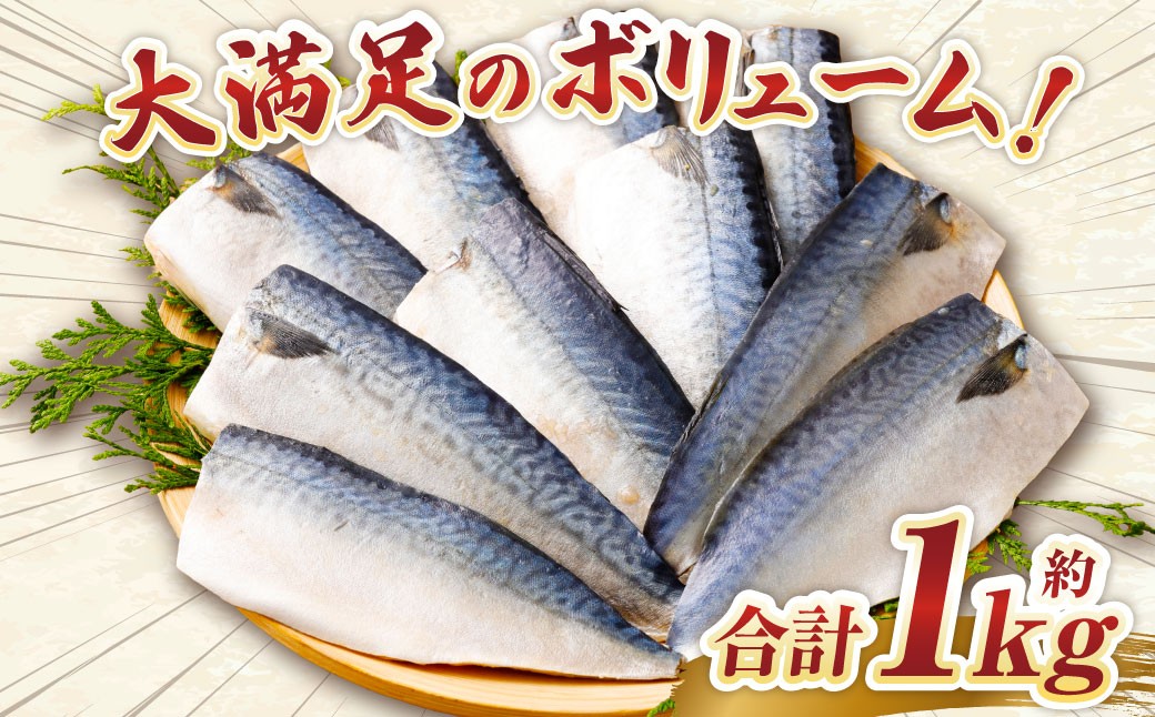【訳あり】国産 ふっくら 極み塩サバ 計約1kg