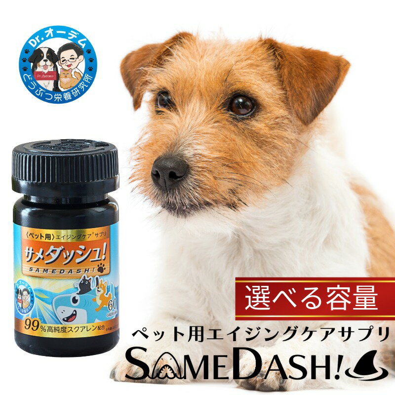 【ふるさと納税】 ペット用 サプリメント サメダッシュ！ 【 選べる容量 60粒・180粒・360粒 】犬 猫 エイジングケア スクアレン 99％以上配合 高純度 高品質 国内製造 スクアレン 贈答 人気 送料無料 ふるさと納税ペット ふるさと納税 千葉県銚子市 日誠マリン工業株式会社