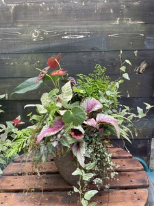 a27-010　セラミス アレンジメント 季節のグリーンの寄せ植え おまかせ