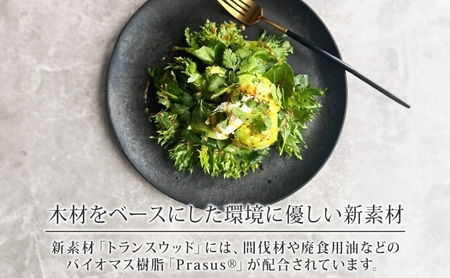 長野県 レトワコレクション 大皿 直径27cm×2枚 隈研吾 デザイン トランスウッド ブラック 黒 グレー 灰色 ブラウン 茶色 食器 お皿 皿 プレート テーブルウエア シンプル おしゃれ hid