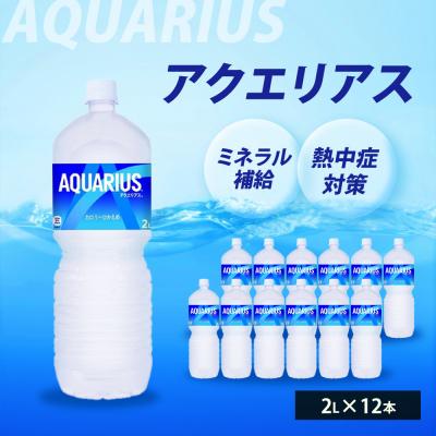 ふるさと納税 三原市 アクエリアス　2Lペットボトル　12本セット[014-019]