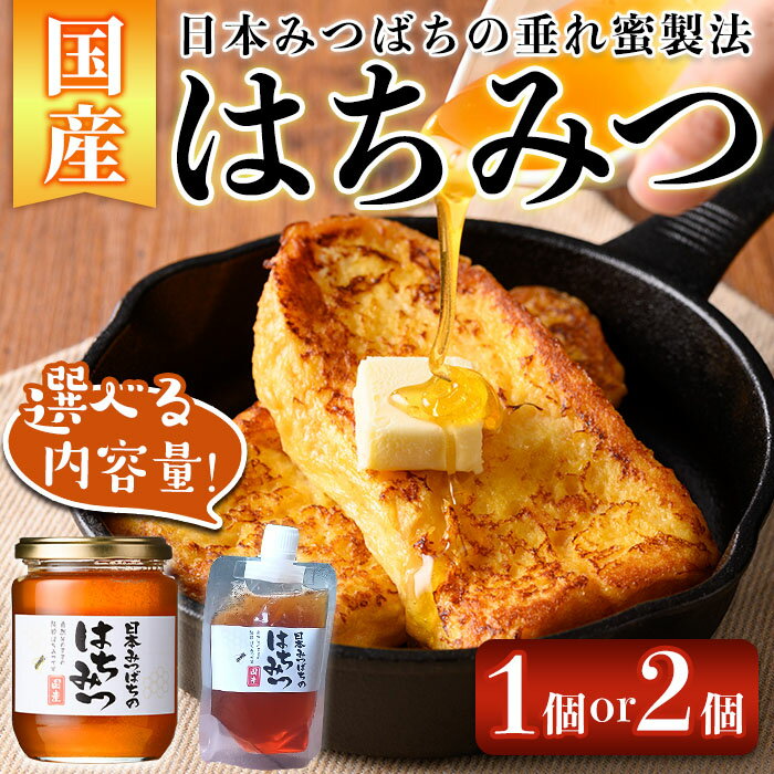 【ふるさと納税】＜内容量が選べる！＞南国種子島産！日本みつばちのはちみつ(1個 or 2個) 種子島産 国産 鹿児島県産 ハチミツ 蜂蜜 垂れ蜜 百花蜜 ミツバチ 瓶 パウチ 調味料 蜜 お菓子作り 煮物 料理【ひさちゃん養蜂園】