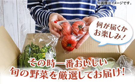 【ニセコ町産】旬の野菜詰合せ　2024年発送【先行予約】