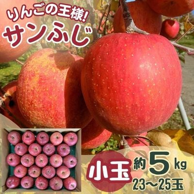 
            サンふじ 小玉 5kg 23～25玉【1587840】
          