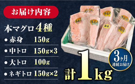 【全3回定期便】対馬産 養殖 本マグロ 4種 （赤身×2/中トロ×2/ネギトロ×2/大トロ×1）《対馬市》【対海】 新鮮 マグロ 鮪 本鮪 赤身 中トロ 大トロ ネギトロ 海鮮 冷凍[WAH006] 