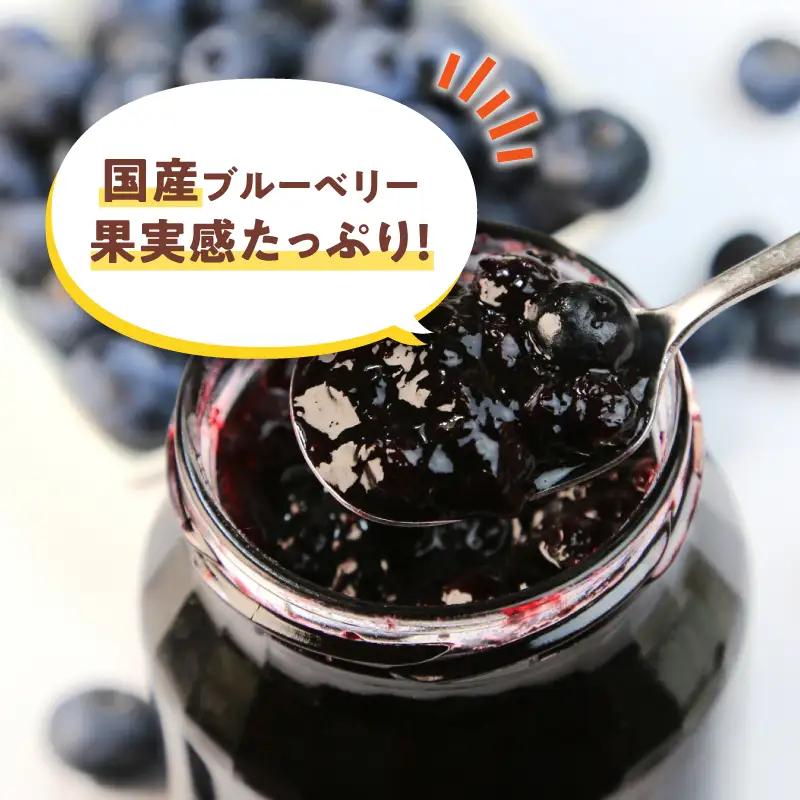 ブルーベリーソース 3本 180g×3 
