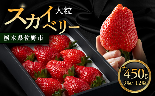 栃木県 いちご 新品種【スカイベリー】9粒～12粒 約450g【配送不可地域：離島】