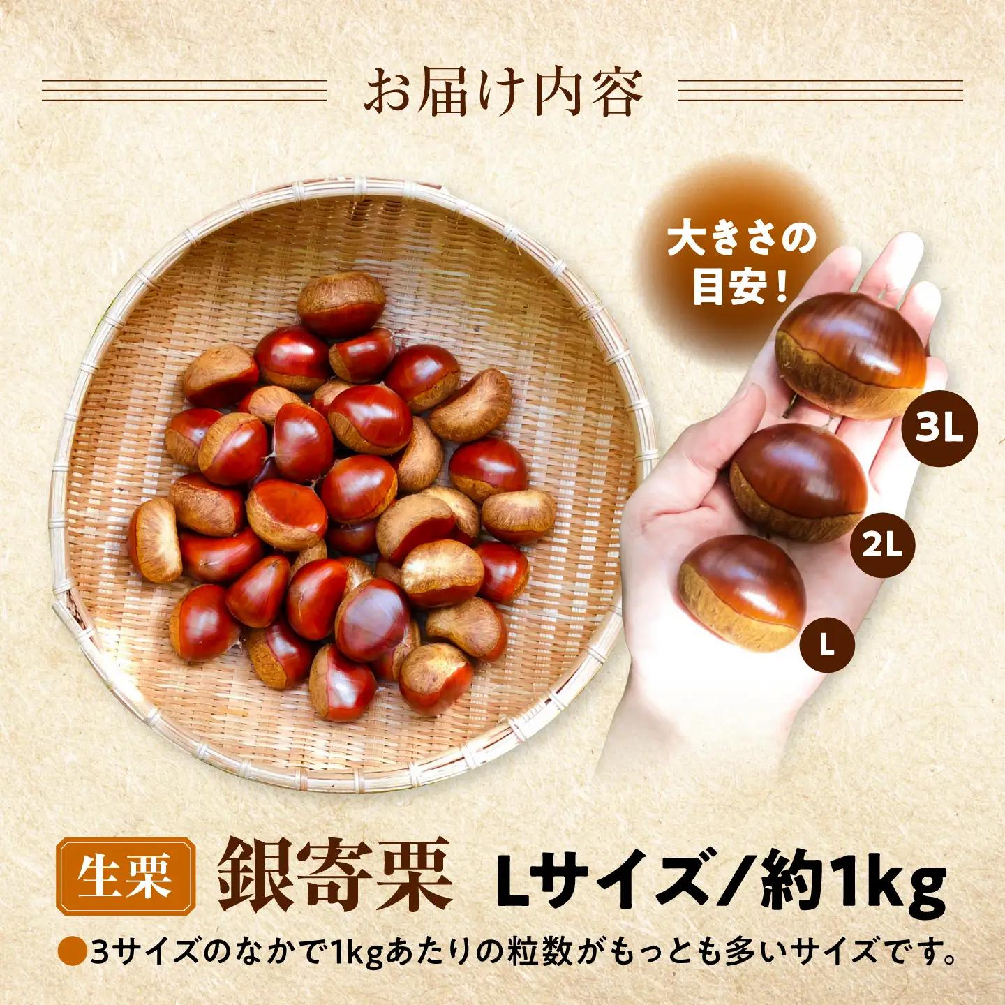 銀寄栗 【先行予約】Lサイズ 1kg 約55粒 栗 BKCC003