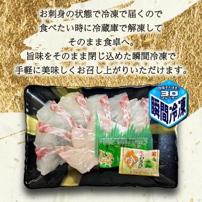 ふるさと納税 下関市 【定期便年6回】 唐戸市場直送 高級お刺身 各2人前 隔月発送 冷凍 真空 鮮魚 EY020-x |  | 03