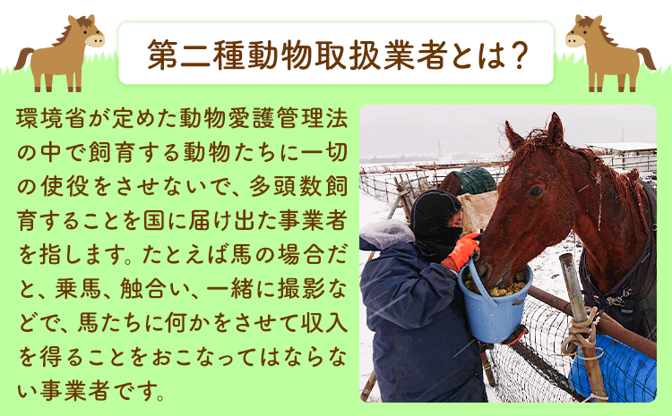 【返礼品なし】引退馬余生支援寄附 3,000,000円 一般社団法人オープンセサミアライブ 熊本県 南阿蘇村 馬 ウマ 支援 競走馬 引退馬 生活支援 動物愛護 保護 返礼品なし 寄附 牧場 オープン