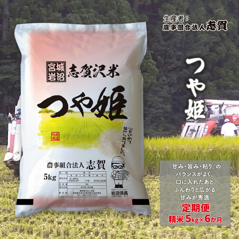 【ふるさと納税】【令和7年度産新米】米 定期便 6ヶ月 つや姫 5kg 志賀沢米 岩沼産 お米 白米 精米 ブランド米 単一原料米 5キロ こめ コメ おこめ ご飯 ライス つやひめ 宮城県産つや姫 東北 宮城県産 宮城県 岩沼市　お届け：2025年10月中旬～2026年3月下旬