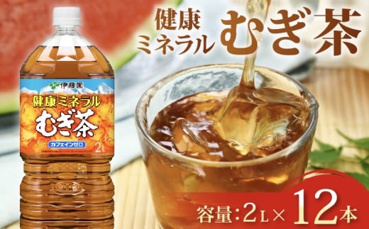 健康ミネラル むぎ茶 計12本 2L × 6 本 2ケース お届け お茶 ペットボトル 飲料 ペットボトル飲料 おちゃ 麦茶飲料 お茶飲料 飲み物 茶 アウトドア 日常 常備 備蓄 防災 防災備蓄 防災用品 災害 生活必需品 消耗品 非常用 災害対策 保存 保管 ストック 日用品 水分補給 箱 箱買い まとめ買い おすすめ 静岡茶 飲料水 美味しい お～いお茶 伊藤園  牧之原市  静岡県
