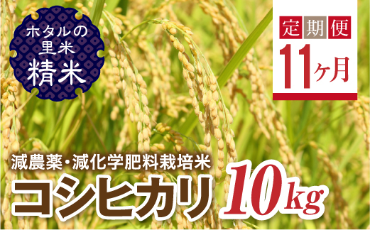 
                   ＜定期便11ヶ月＞ 令和8年産米【ホタルの里米】環境に配慮し農薬を減らした栽培米 コシヒカリ精米10kg  F4D-2301
                