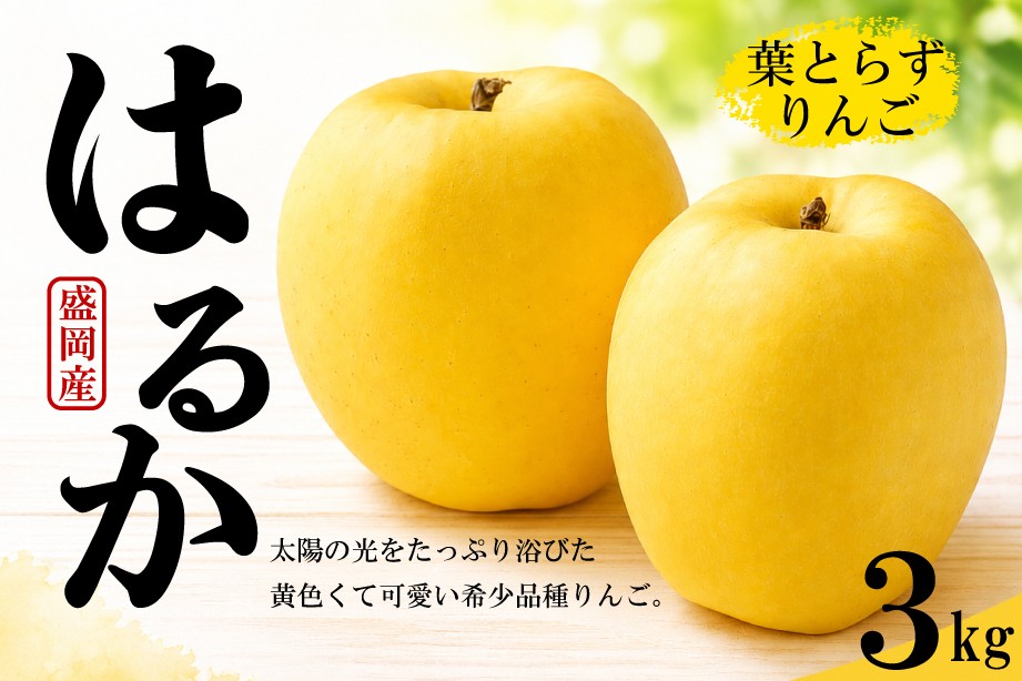 
                  【先行予約】 葉取らずりんご はるか 3kg 詰め合わせ 12月発送 りんご リンゴ 林檎 ringo 果物 国産 果物 くだもの フルーツ 果物りんご 岩手県 盛岡市 岩手 盛岡 佐藤農園 有限会社トゥレイス treis002
                