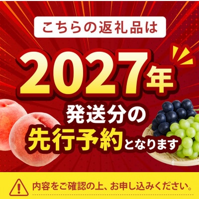 2027年発送先行受付【もう戻れない】リピーター続出中一度食べたらやみつき『樹上完熟ブランド桃』【配送不可地域：離島・北海道・沖縄県・中国・四国・九州】
