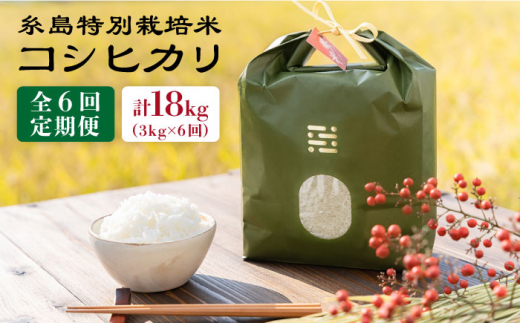 【令和7年産】【 6回 定期便 】とくべつ の中の とくべつ 糸島 特別栽培米 3kg （ コシヒカリ ）《 糸島 》【株式会社やました】 [ARJ002]