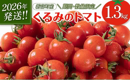 ＜期間・数量限定＞［2026年発送］くるみのトマト 計1.3kg 宮崎県新富町産 朝採れ 野菜 フレッシュ 国産【B667】