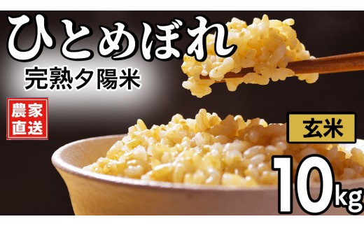 
                  【 新米 】 完熟夕陽米 (玄米) 10kg (5kg×2) ひとめぼれ 特別栽培米 令和8年産 生産農家直送  米 産地直送 こめ 玄米 ご飯 夕陽米 岩手県 特別栽培 農家直送 事業者応援 生産者支援 日常使い (CP035)
                