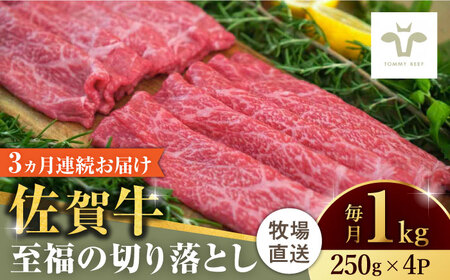 【牧場直送】【全3回定期便】佐賀牛至福の切り落とし 計3kg（250g×4袋×3回） / 佐賀県 / 有限会社佐賀セントラル牧場 [41ASAA022]