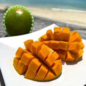 【2026年8月下旬から順次発送・贈答用】みなとばる農園の幻のキーツマンゴー3.0kg(4～6玉)【配送不可地域：離島】【1699969】