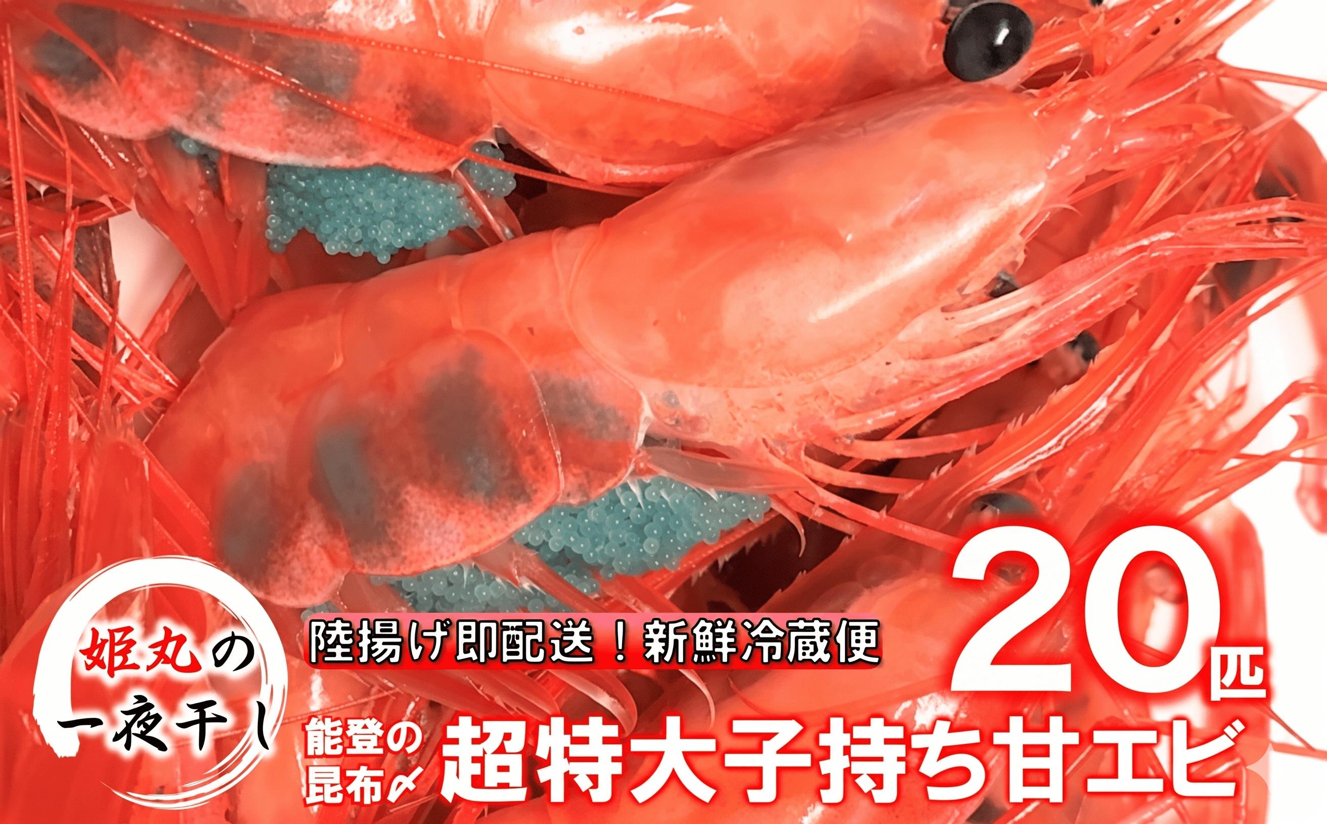 
                  【 姫丸 の 子持ち 甘エビ 超特大 ・ 20匹 丸ごと 昆布〆 】 2026年 1月 - 6月 発送
                