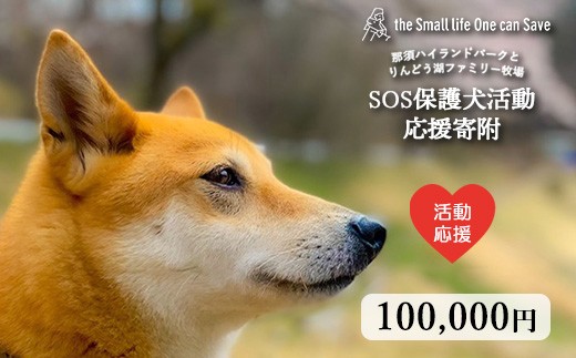 
            那須ハイ＆りんどう湖　SOS保護犬活動　お礼品なし〔G-53〕｜保護犬 支援 動物愛護 応援 地域応援 愛犬 愛犬家 動物 ペット 社会貢献 保護活動 那須 栃木県 那須町
          
