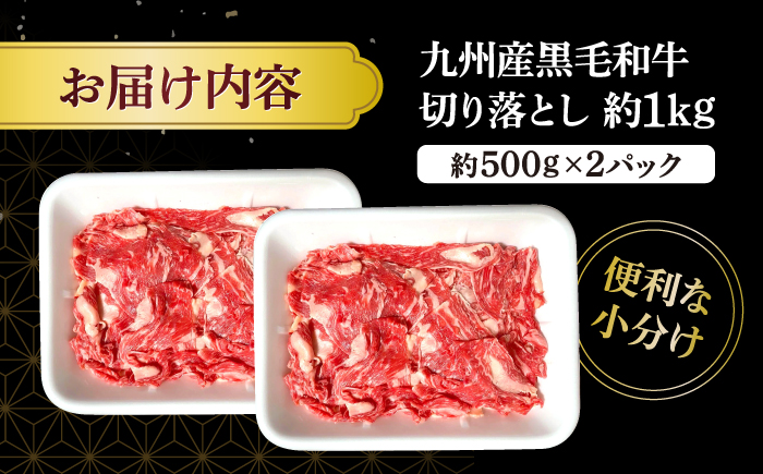 【小分けで使いやすい】九州産黒毛和牛 切り落とし 約1kg（約500g×2パック） ＜宮本畜産＞ [CFA001]