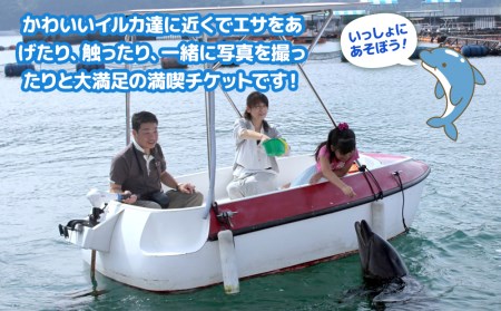 イルカとふれあうFor family（イルカ島満喫チケット）水族館 体験チケット | 津久見市