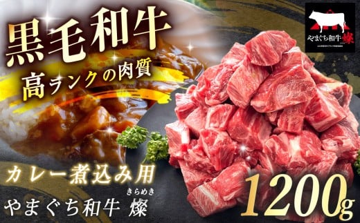 数量限定！選べる 極上牛肉 やまぐち和牛 燦 (きらめき) カレー煮込み用 1200g ｜ 山口 県 美祢市 牛肉 ブランド牛 黒毛和牛 カレー 煮込み カレー煮込み 牛 肉 お肉 にく