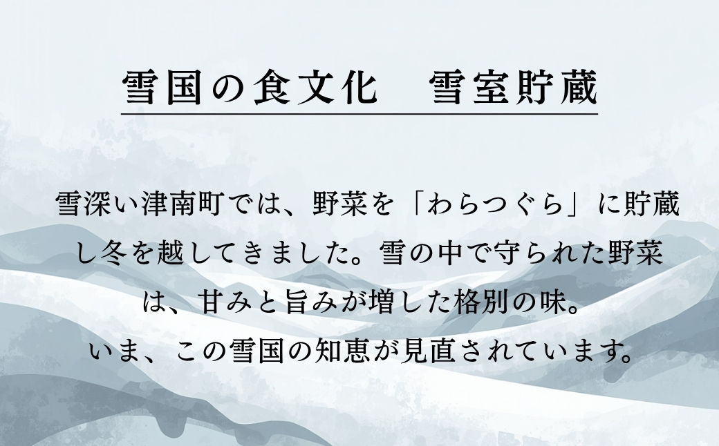 【スイートコーン 先行予約】雪室予冷 白とうもろこし 雪の妖精  2L〜L 10本入 | 津南町 有限会社大地